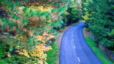 Sonbaharda ormanın içinden yol geçen bir arazi gezisi. Günbatımında sonbahar ormanı. Güzel boş dağ yolu, kırmızı ve turuncu yapraklı ağaçlar..