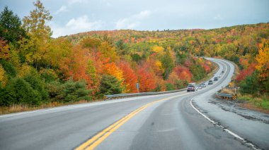 Sonbaharda ormanın içinden yol geçen bir arazi gezisi. Günbatımında sonbahar ormanı. Güzel boş dağ yolu, kırmızı ve turuncu yapraklı ağaçlar..