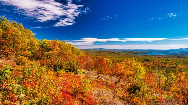 秋天的叶子在秋天 秋天的红色风景 新英格兰的树木和山脉 — 图库照片