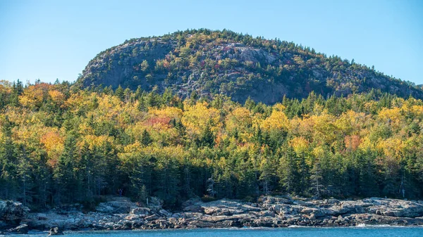 Sonbahar mevsiminde sonbahar yaprakları. Sonbaharda kızıl sonbahar manzaraları, New England 'ın ağaçları ve dağları.