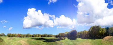 Yeşillik mevsiminde ormanın ve çayırların panoramik manzarası.