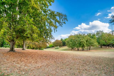 Volterra, Pisa 'daki Enrico Fiumi Arkeoloji Parkı.