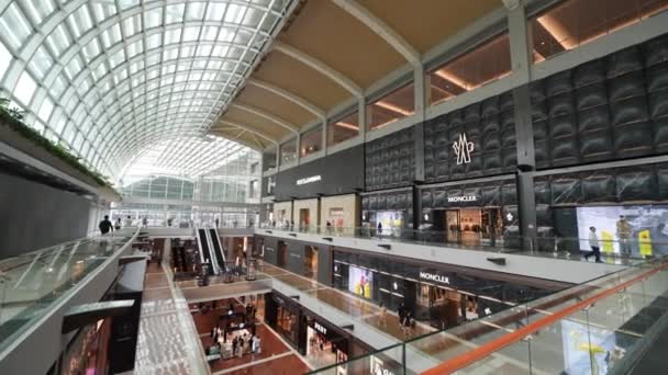 Singapore August 2023 Interior Marina Bay Mall — Stock Video