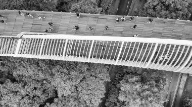 Henderson Köprüsü 'nün Singapur' daki havadan görüntüsü..