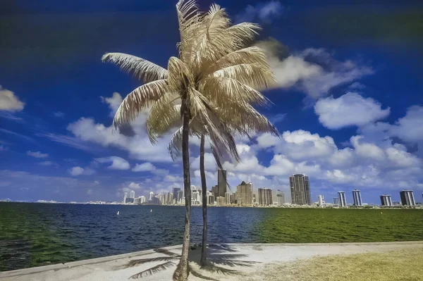 Infrared View Miami Skyline Rickenbacker Causeway Florida — Stock Photo, Image