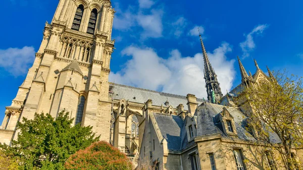 Katedrála Notre Dame Paříži — Stock fotografie