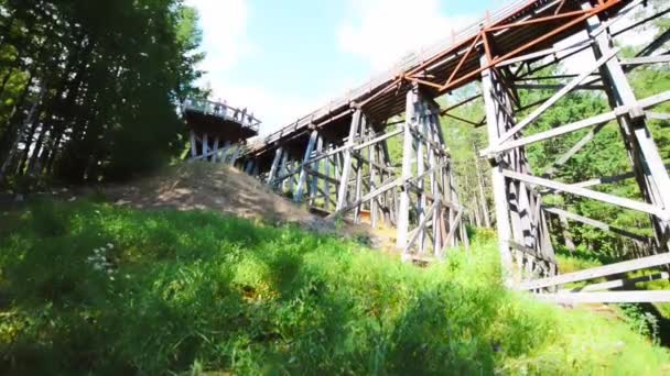 Vista Panorâmica Ponte Kinsol Trestle Ilha Vancouver — Vídeo de Stock