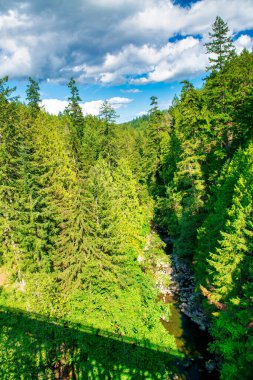 Vancouver Adası 'ndaki Kinsol Trestle Köprüsü' nün muhteşem manzarası - Kanada