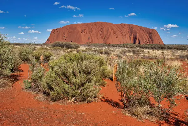 Australian Outback Vegetation Red Rocks Northern Territory — Stock Photo, Image