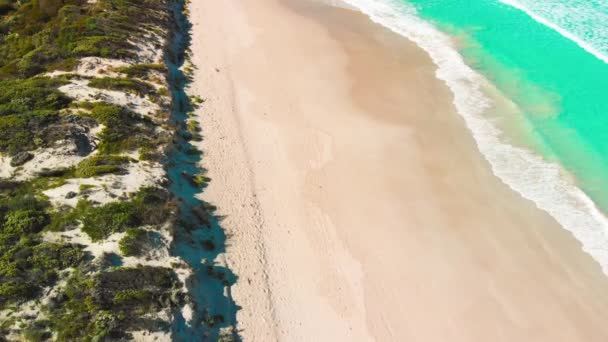 Kangaroo Island Australia Pennington Bay Waves Coastline Aerial View Drone — Stok video