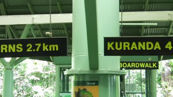 Kuranda Queensland Αυγούστου 2009 Σιδηροδρομικός Σταθμός Kuranda Cairns — Αρχείο Βίντεο