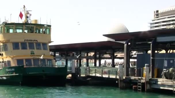 シドニー 2009年8月26日 サーキュラーキーのフェリーボート — ストック動画