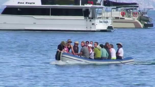 Queensland Australien August 2009 Ein Schlauchboot Voller Touristen Fährt Zum — Stockvideo