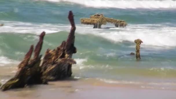 Fraser Island Beach Mit Altem Schiffswrack Australien — Stockvideo