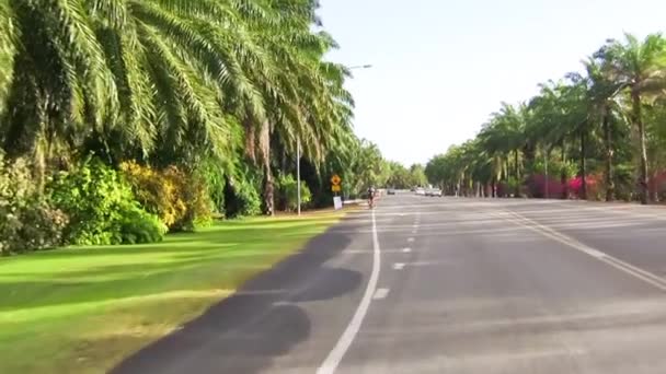 Port Douglas Streets Moving Car Queensland — Stock Video