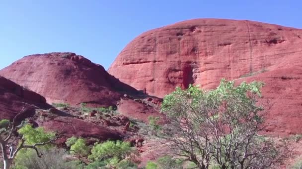 Outback Australiano Colores Día Soleado — Vídeo de stock