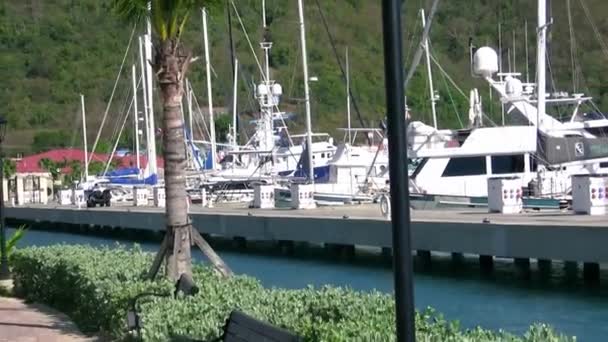 Thomas Amerikai Virgin Szigetek 2009 Április Csónakok Gyönyörű Városi Kikötő — Stock videók