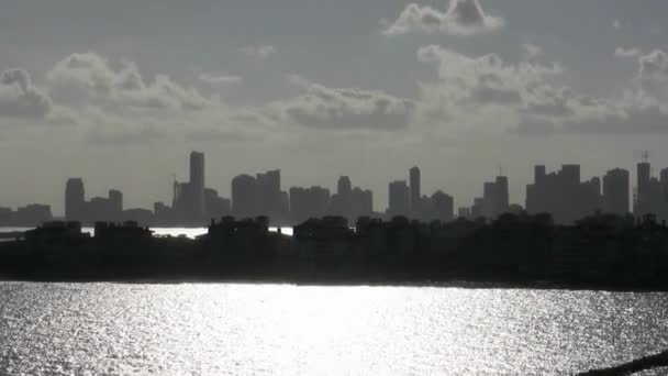 Backlit Skyline Miami Florida — Stock Video
