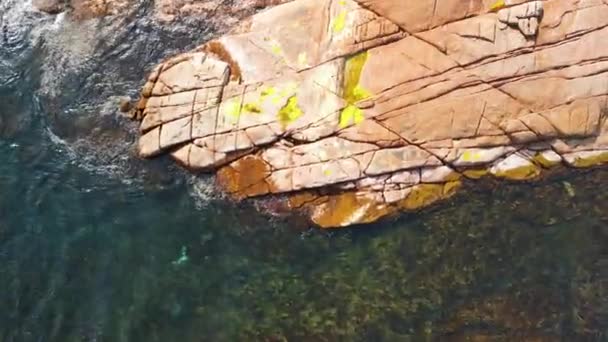 Cape Leeuwin Est Pointe Continentale Sud Ouest Australie — Video