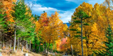 Sonbahar mevsiminde sonbahar yaprakları. Sonbaharda kızıl sonbahar manzaraları, New England 'ın ağaçları ve dağları.