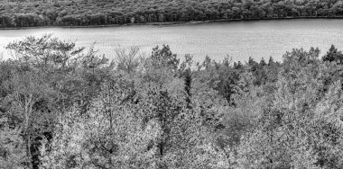 Sonbahar mevsiminde sonbahar yaprakları. Sonbaharda kızıl sonbahar manzaraları, New England 'ın ağaçları ve dağları.