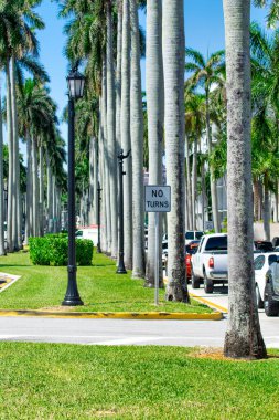 Palm Beach, FL - 26 Şubat 2016: Güzel şehir yolları ve palmiyeleri boyunca araba.