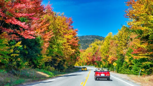 沿着马路穿过树林 乘坐红色轿车游览风景 秋天的森林在日落时 美丽的空旷山路 树叶茂密的树木 — 图库照片