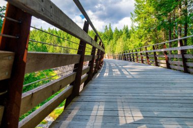 Vancouver Adası 'ndaki Kinsol Trestle Köprüsü' nün muhteşem manzarası - Kanada