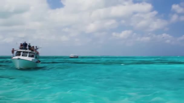 Grand Cayman Kajmanské Ostrovy Březen 2012 Turisté Během Podmořského Výletu — Stock video