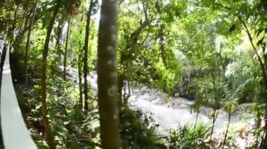 Jamaika 'dan Ocho Rios. Bulutlu bir sabahta Dunns Nehri Şelalesi.