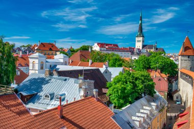 Tallinn, Estonya - 15 Temmuz 2017: Güneşli bir yaz gününde Tallinn panoramik hava manzarası.