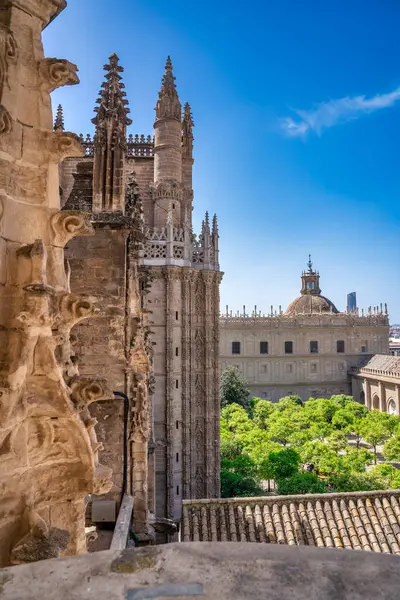 Blick Auf Die Kathedrale Von Sevilla Vom Giralda Turm — Stockfoto