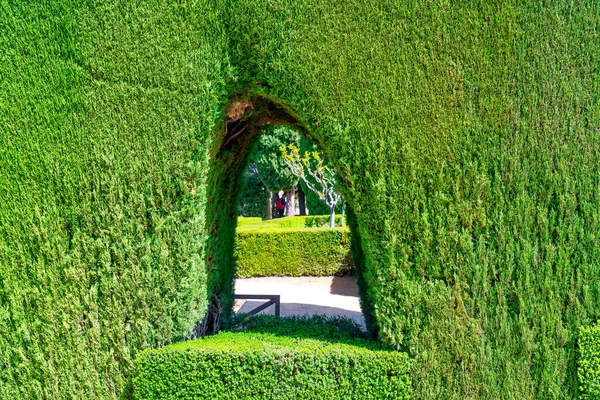 Güneşli bir günde Alhambra bahçeleri, Granada - İspanya.