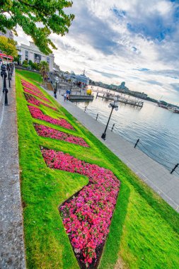 Vancouver Adası, Kanada - 14 Ağustos 2017: Güneşli bir günde Victoria Binaları.