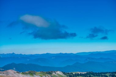 Yaz sezonunda Mount Rainier Ulusal Parkı 'nın muhteşem manzarası, Washington - ABD.