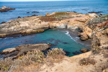 Point Lobos sahili bir yaz sabahı, Kaliforniya.
