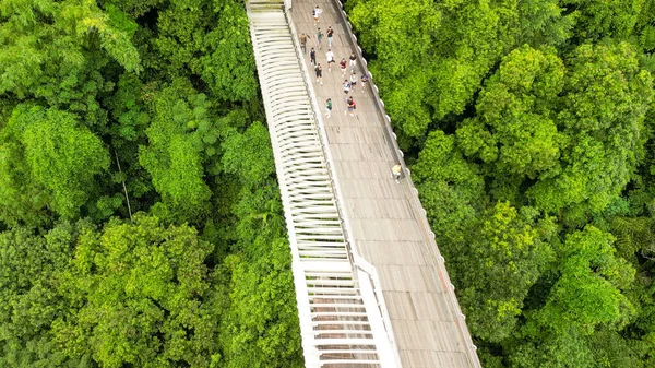 Henderson Köprüsü Nün Singapur Daki Havadan Görüntüsü — Stok fotoğraf
