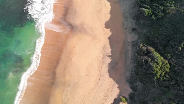 Aerial View Torquay Beach Great Ocean Road Australia — Stok video