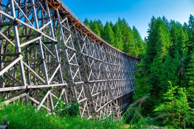Vancouver Adası 'ndaki Kinsol Trestle Köprüsü' nün muhteşem manzarası - Kanada
