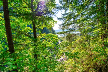 Multnomah Şelalesi, Columbia Nehri Boğazı - Oregon.