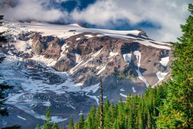 Yaz sezonunda Mount Rainier Ulusal Parkı 'nın muhteşem manzarası, Washington - ABD.