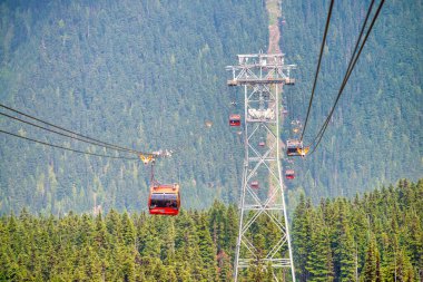 Whistler Dağı yaz mevsiminde, Kanada.