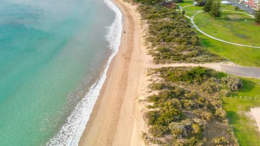 Apollo Bay from drone, coastline of the Great Ocean Road, Australia.