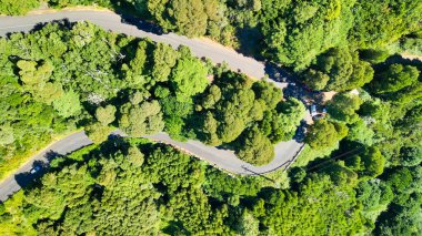 Downward aerial view of a beautful windy road across a forest.