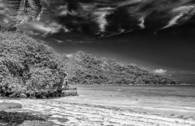 Tropical Paradise beach. Beautiful shoreline of Seychelles Islands.