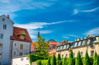 Tallinn, Estonya - 15 Temmuz 2017: Tallinn sokakları ve ortaçağ binaları güneşli bir yaz gününde.