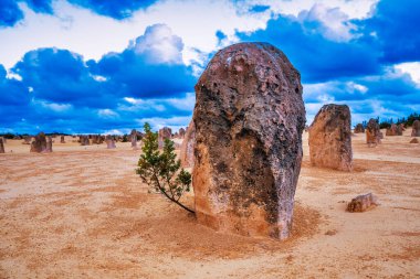 Güneş batarken Batı Avustralya 'daki Nambung Ulusal Parkı' ndaki Pinnacles Çölü 'nün ay manzarası..