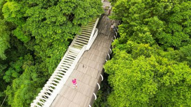 Henderson Köprüsü 'nün Singapur' daki havadan görüntüsü..