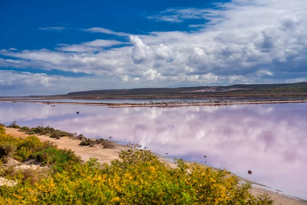 Colors Reflections Pink Lake Port Gregory Western Australia — Stock Photo, Image