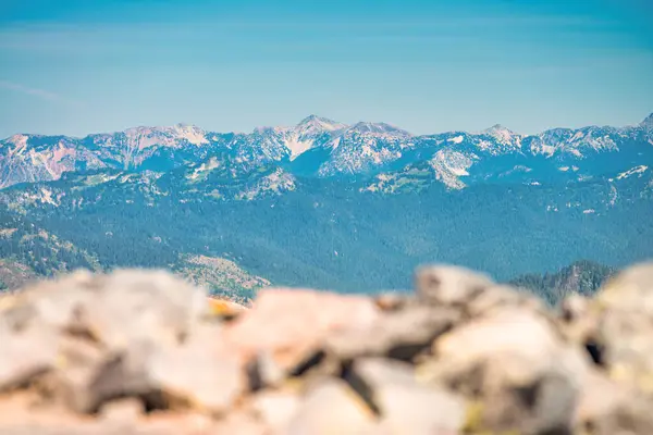Amazing Landscape Mount Rainier National Park Summer Season Washington Usa — Stock Photo, Image